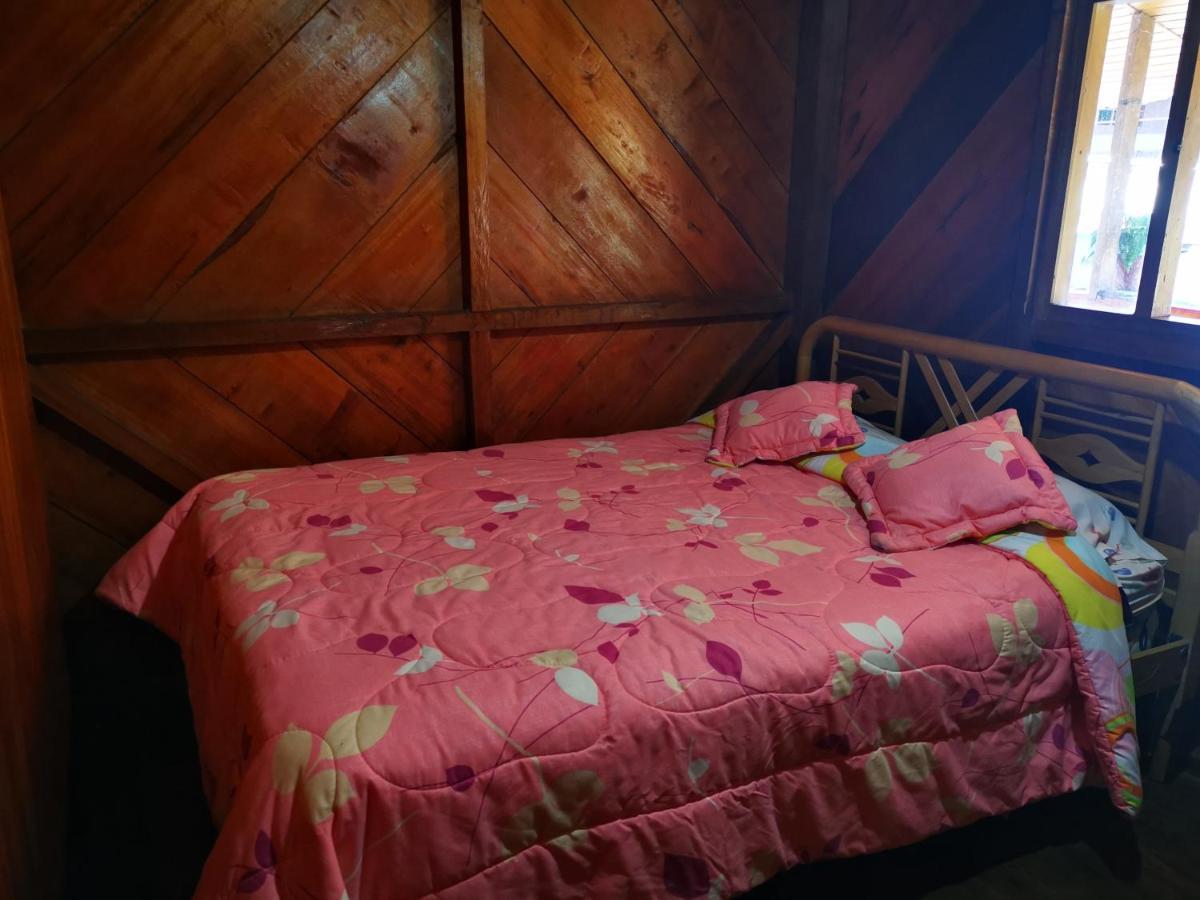 Hostel La Tranquilidad Mindo Zewnętrze zdjęcie
